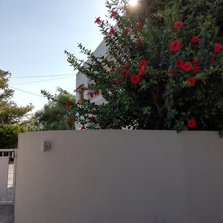 Dimitris' & Valentina'S Home プラキアス エクステリア 写真