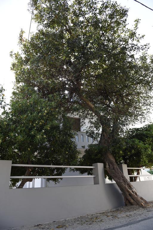 Dimitris' & Valentina'S Home プラキアス エクステリア 写真