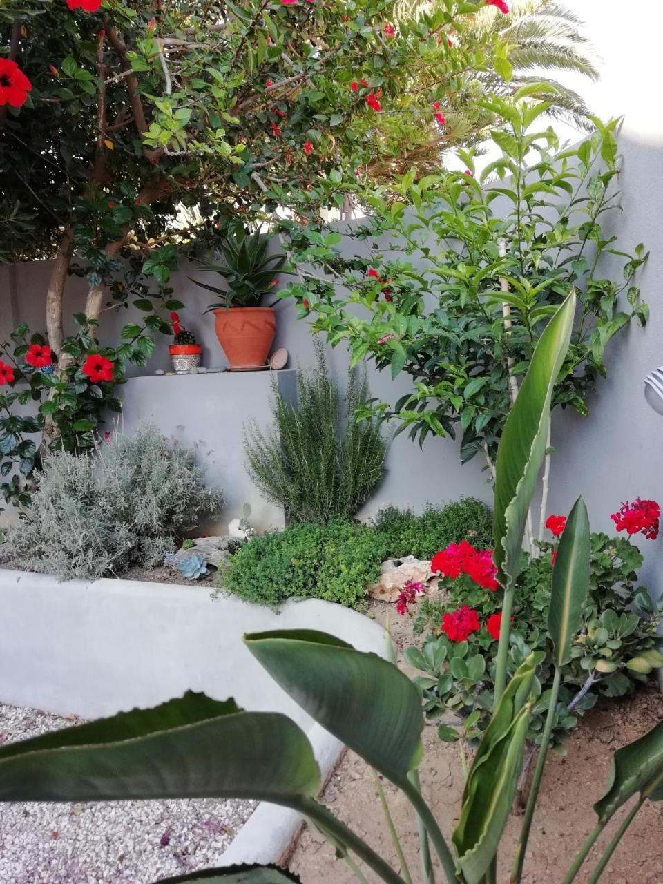 Dimitris' & Valentina'S Home プラキアス エクステリア 写真