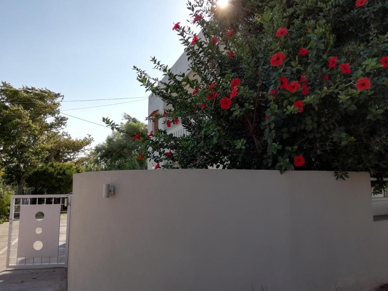 Dimitris' & Valentina'S Home プラキアス エクステリア 写真