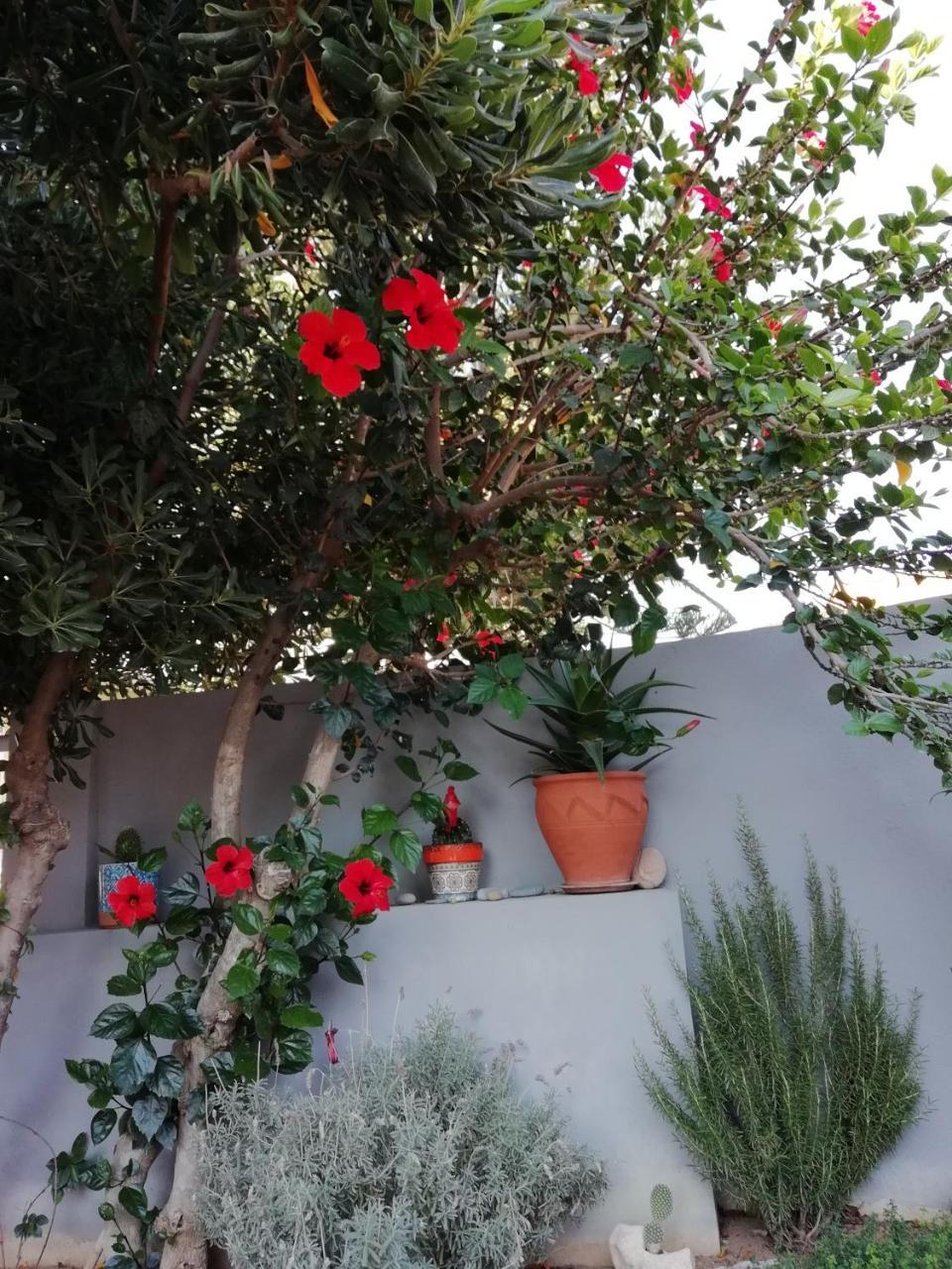 Dimitris' & Valentina'S Home プラキアス エクステリア 写真